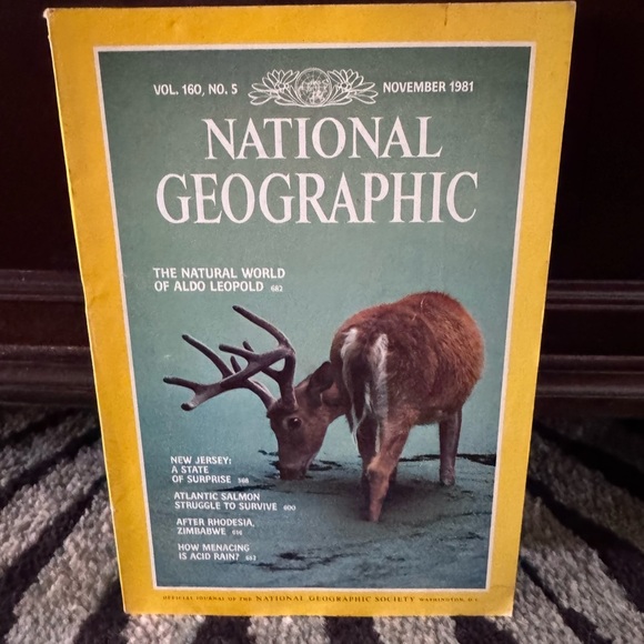 National Geographic 1981: Missing Jan, Mar, Sept and Dec. Includes all Maps - Picture 8 of 8